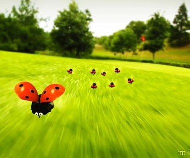 Kadr z filmu "Robaczki z Zaginionej Doliny"