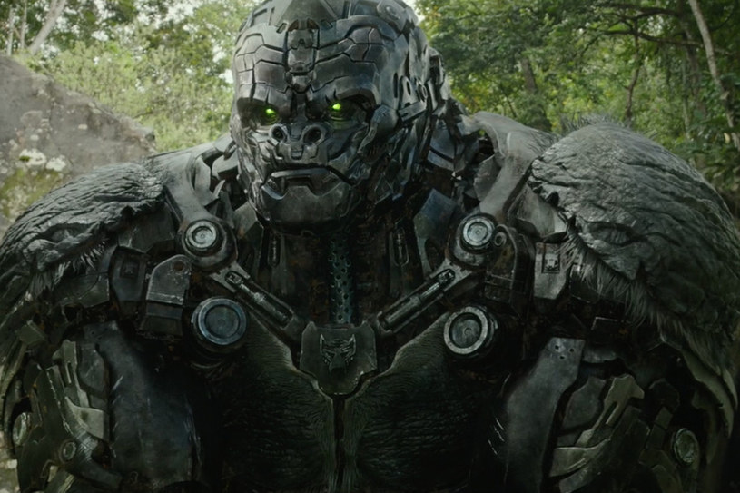 Kadr z filmu "Transformers: Przebudzenie bestii" /materiały prasowe