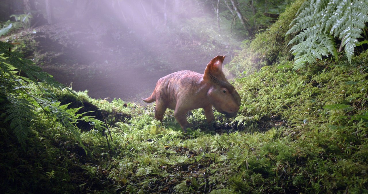 Kadr z filmu "Walking with dinosaurs 3D" z 2013 roku /20th Century-Fox  /East News