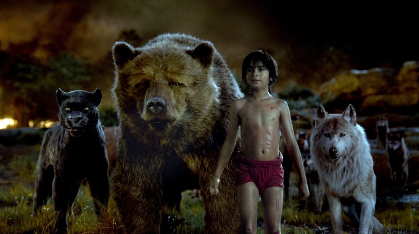 Kadr z "Księgi dżungli" /WALT DISNEY PICTURES/WETCHER, BARRY /AFP