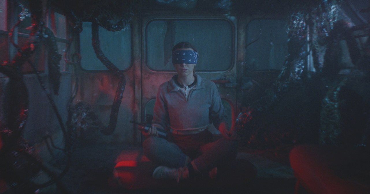 Kadr z piątego sezonu serialu "Stranger Things" /Courtesy of Netflix /materiały prasowe