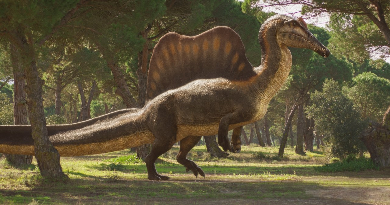 Kadr z serialu "Wędrówki z dinozaurami" /BBC /materiały prasowe