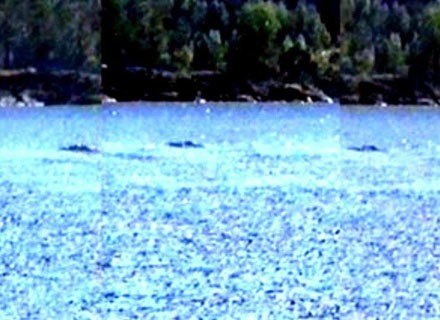 Kadry z filmu Sveriges Television przedstawiające potwora z jeziora Storsjon /MWMedia