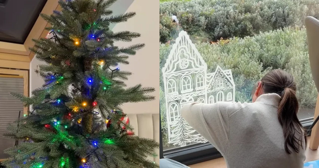 Kadry z kanału Ani Bardowskiej na Youtube /YouTube /materiały prasowe