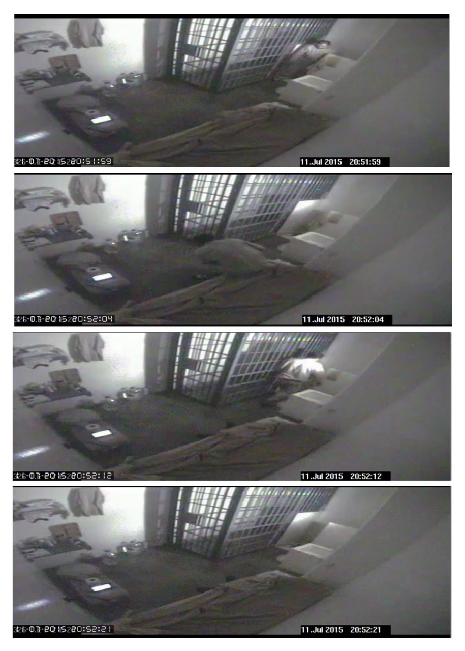 Kadry z nagrania z więziennego monitoringu, na których widać ucieczkę "El Chapo" /National Commission of Security of Mexico (CNS)/HANDOUT /PAP/EPA