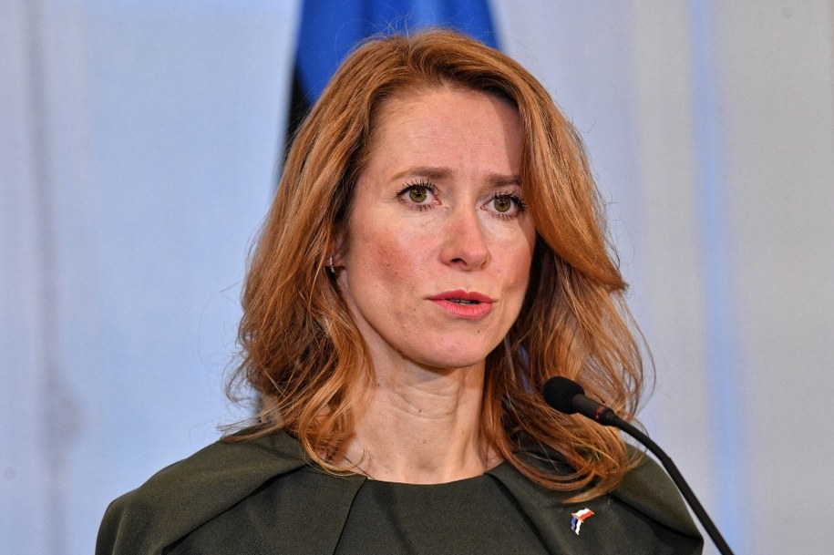 Kaja Kallas /Radek  Pietruszka /PAP