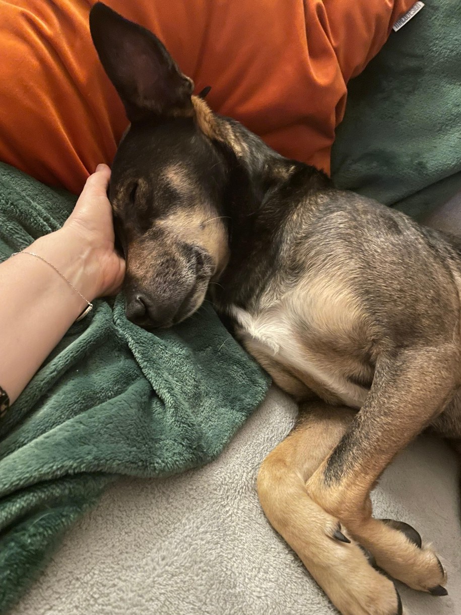 Kajtek /Blanka Baranowska /RMF FM