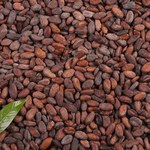 Kakao może być korzystną inwestycją, niewykluczone odbicie na rynku złota