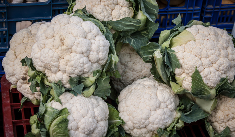 Kalafior to warzywo, które znów zyskuje na popularności. Jakie dania z kalafiora można przygotować i jak wpływa on na zdrowie? /123RF/PICSEL