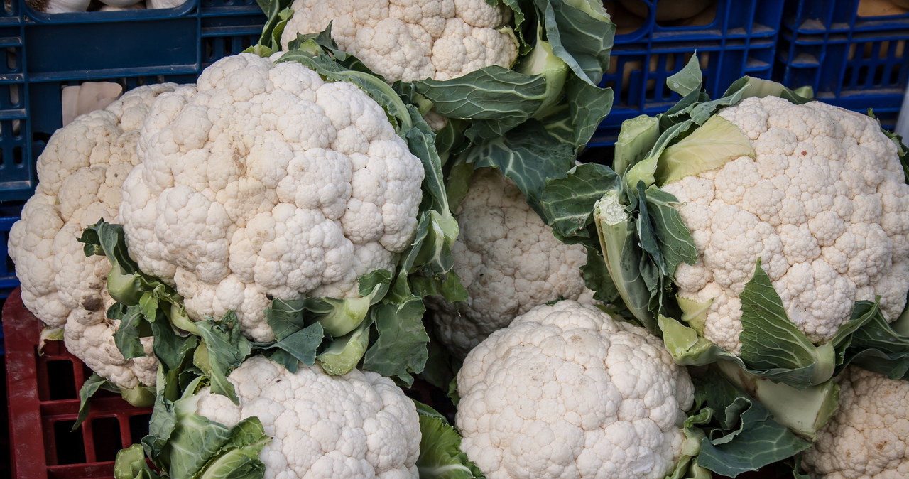 Kalafior to warzywo, które znów zyskuje na popularności. Jakie dania z kalafiora można przygotować i jak wpływa on na zdrowie? /123RF/PICSEL