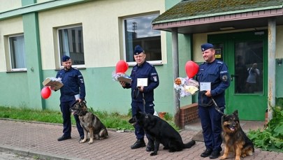 ​Kałam, Lejmur i Karzeł już na emeryturze. Godne pożegnanie