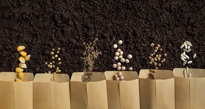 Kalendarz biodynamiczny 2023 dla ogrodnika. Co kiedy siać według Księżyca?