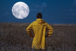 Kalendarz biodynamiczny 2023 dla rolnika. Czy Księżyc wpływa na plony?