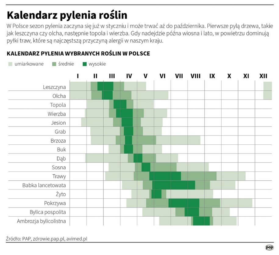 Kalendarz pylenia roślin /Adam Ziemienowicz /PAP