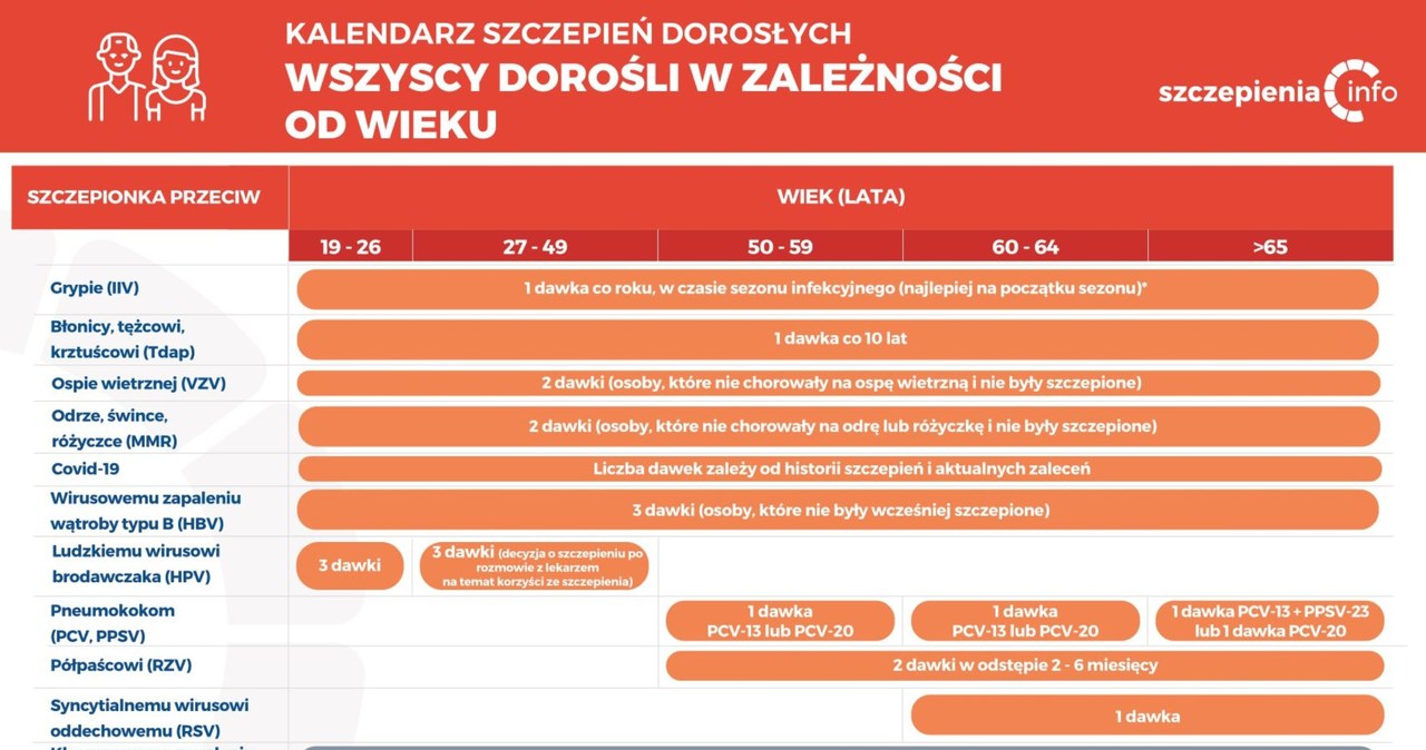 Kalendarz szczepień osób dorosłych /szczepienia.pzh.gov.pl /domena publiczna