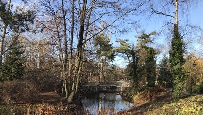 Kalendarzowa i astronomiczna jesień już niedługo! Co to jest równonoc? 