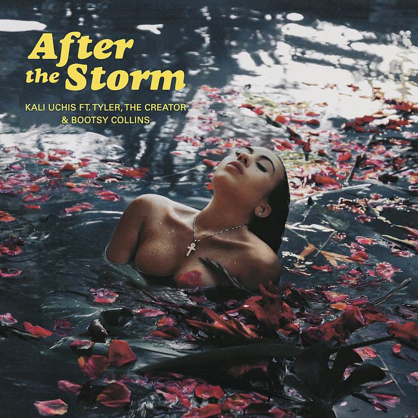 Kali Uchis na okładce singla "After the Storm" /