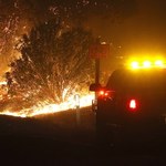 Kalifornia: Pożar w Napa Valley - sercu przemysłu winiarskiego