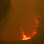 Kalifornia: Tysiące osób ewakuowanych z powodu pożaru