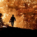 Kalifornia znalazła sposób jak złagodzić pożary lasów i chronić klimat jednocześnie