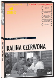 Kalina czerwona