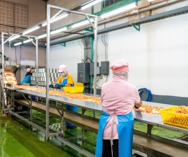 Kaliska fabryka idzie do likwidacji. Właściciel z Ukrainy tłumaczy tę decyzję
