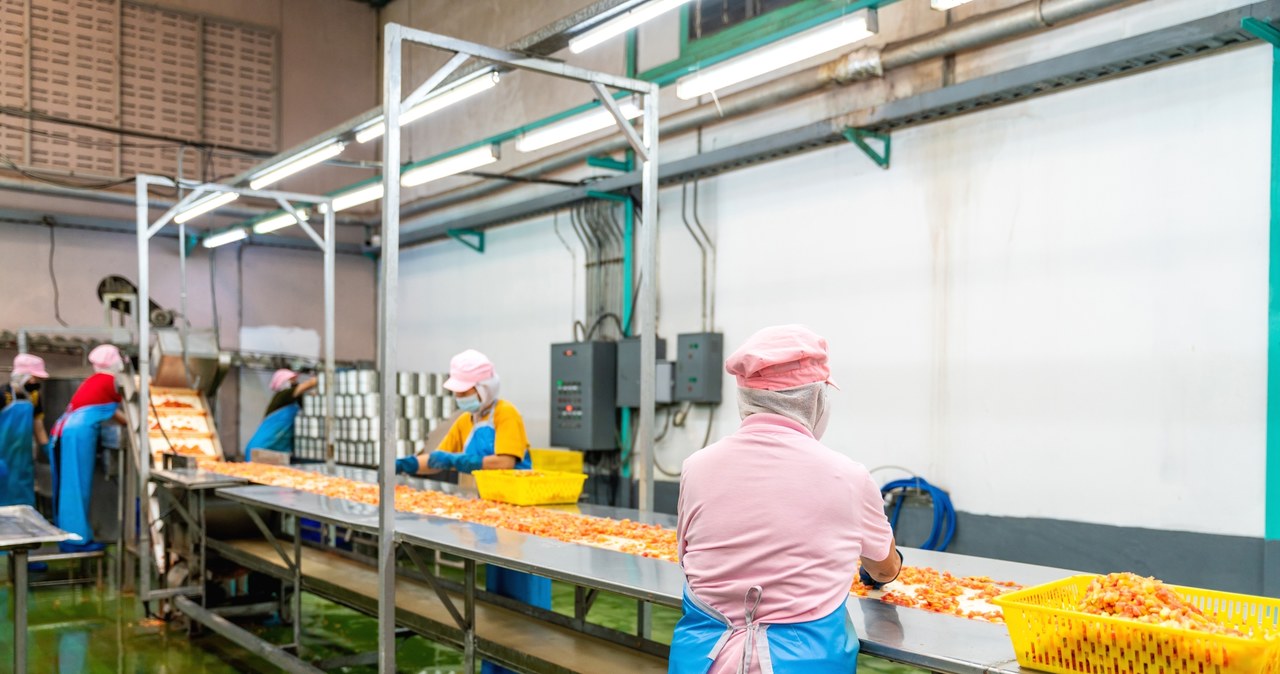 Kaliska fabryka mrożonych warzyw i owoców zostanie zamknięta. Nowy właściciel tłumaczy się ze swojej decyzji. Zdj. ilustracyjne /123rf.com /123RF/PICSEL