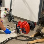 Kalisz: Policyjny pies "Misia" wykrył w pralce dopalacze