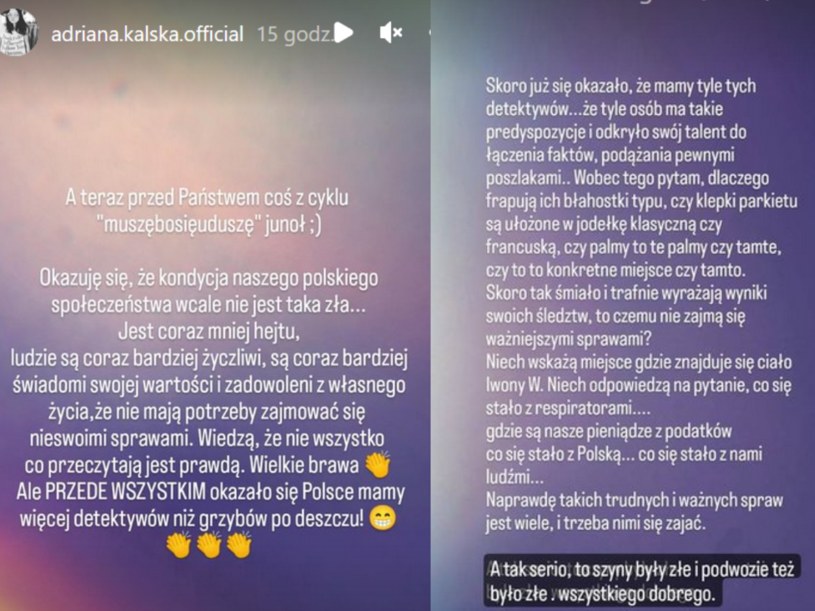 Kalska dosadnie komentuje doniesienia na temat jej rzekomego powrotu do Roznerskiego /Instagram