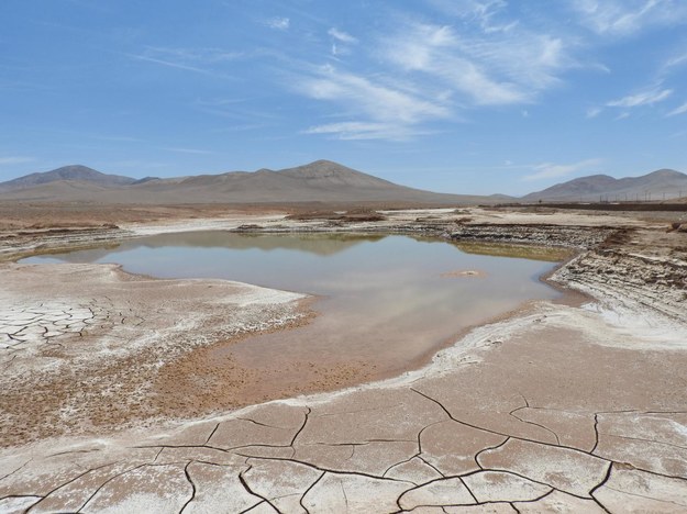 Kałuże wody na pustyni Atacama /Carlos González Silva /Materiały prasowe