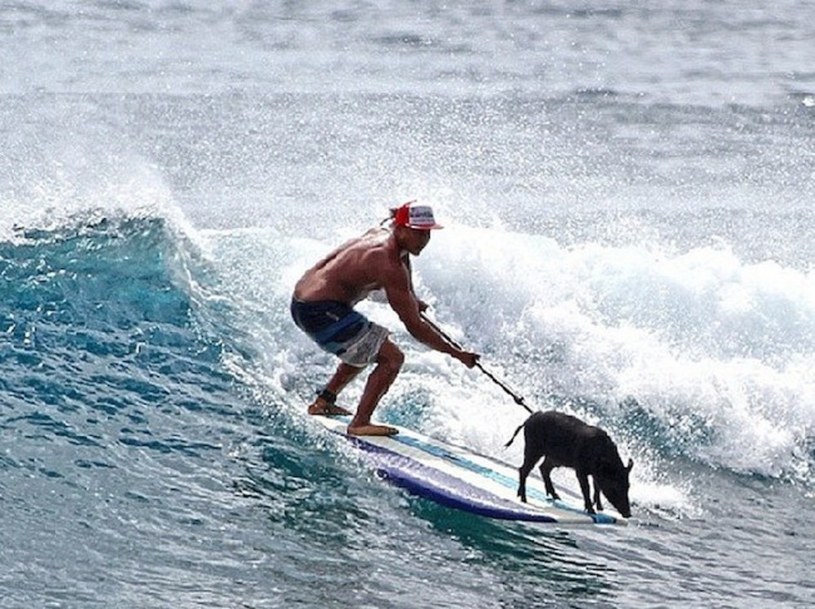 Kama ma naturalny talent do surfowania. Jest więcej niż tylko lokalną atrakcją... /East News