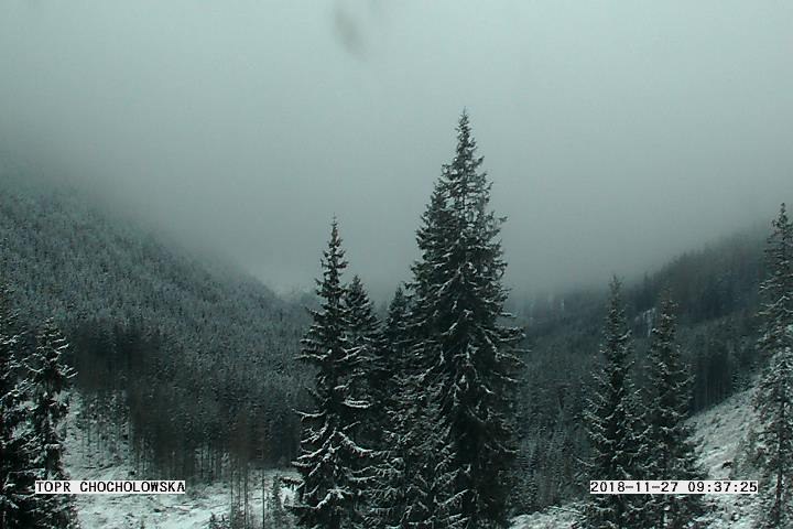 Kamera. Dolina Chochołowska /TOPR /