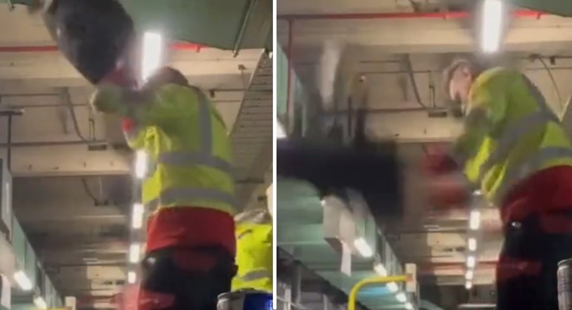 Kamera nagrała pracowników lotniska, którzy rzucali walizkami /TikTok/RexRoss79/ Twitter/@RachaelHasIdeas /materiał zewnętrzny