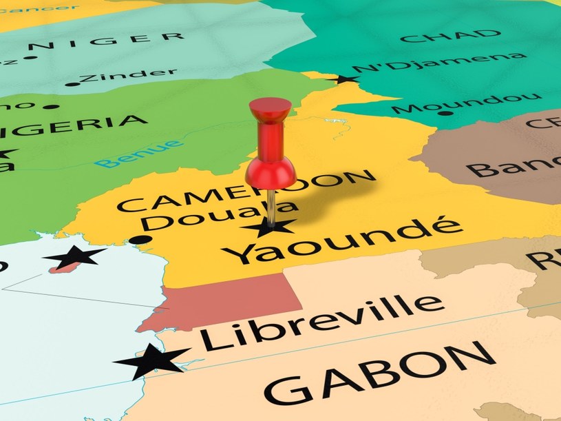 Kamerun i inne ruchome kraje Afryki... /123RF/PICSEL