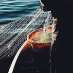 Kamery kontra nieuczciwi rybacy. UE walczy z przełowieniem