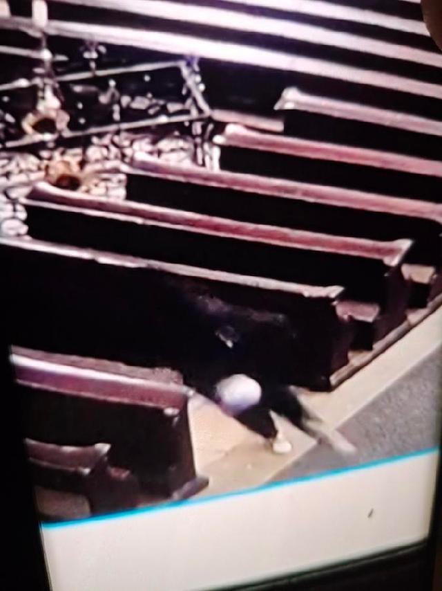 Kamery zarejestrowały niewyraźny wizerunek złodzieja /policie.gov.cz /