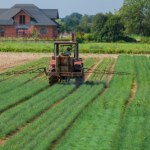 Kamień z ogrodu okazał się skarbem. To forma do grotów włóczni z epoki brązu