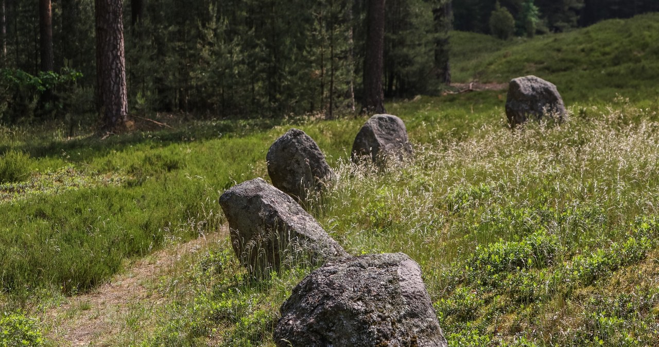 Kamienne kręgi w Odrach zostały zbudowane przez Gotów /Michal Fludra/NurPhoto via Getty Images /Getty Images