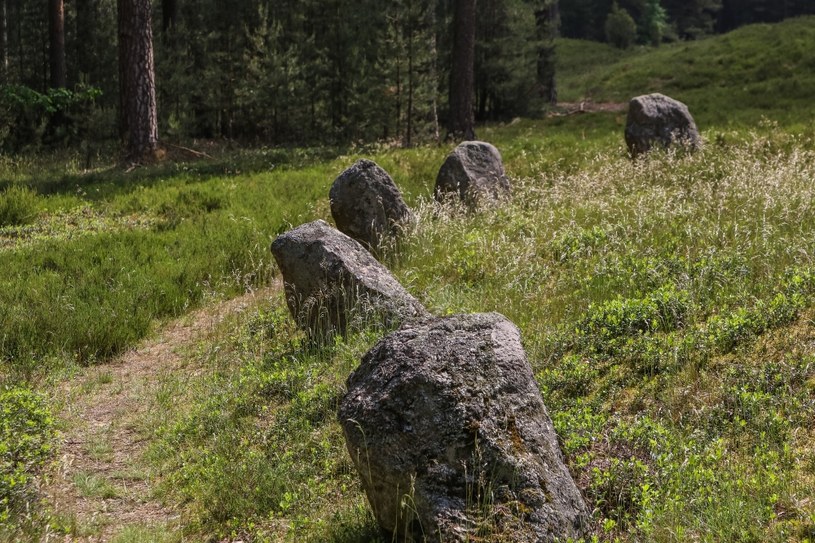 Kamienne kręgi w Odrach zostały zbudowane przez Gotów /Michal Fludra/NurPhoto via Getty Images /Getty Images