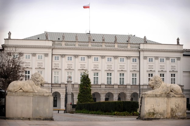 Kamienne lwy przed Pałacem Prezydenckim /Jacek Turczyk /PAP