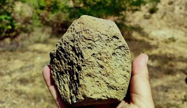 Kamienne narzędzia z Ukrainy. To najstarszy dowód obecności człowieka w Europie