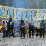 Kanada: Ponad tysiąc aresztowanych. Bronili drzew