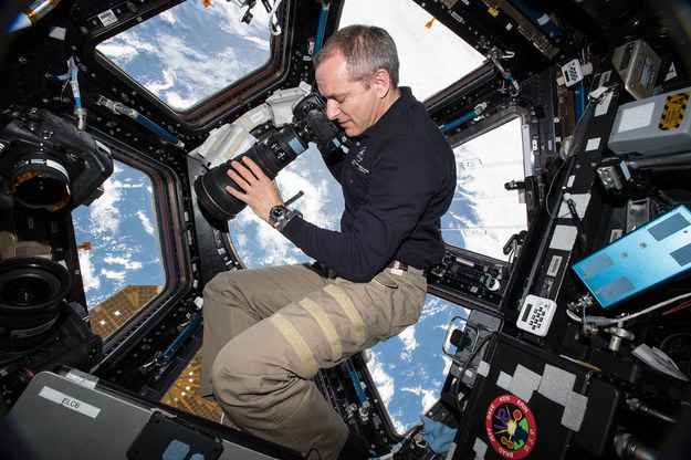 Kanadyjski astronauta David Saint-Jacques na tle kopuły widokowej. /NASA /Materiały prasowe