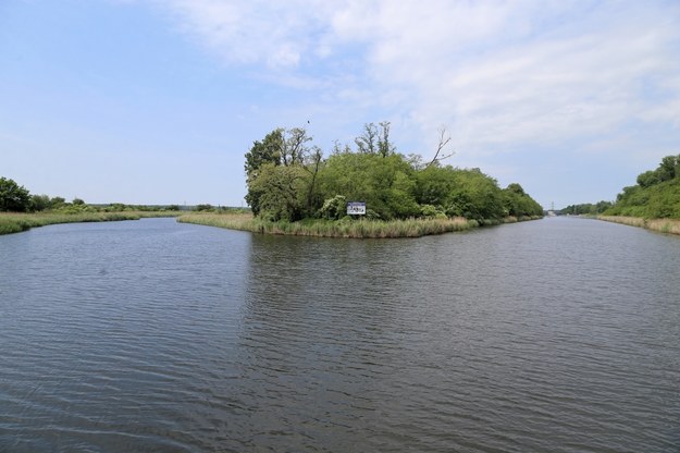 Ponad 450 kg śniętych ryb w Kanale Gliwickim