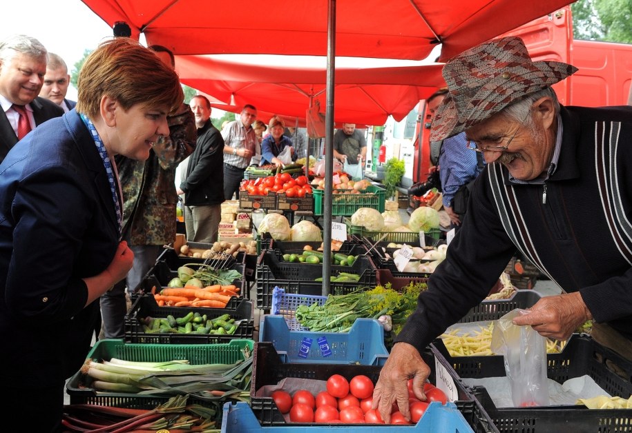 Kandydatka PiS na premiera Beata Szydło /Marcin Obara /PAP