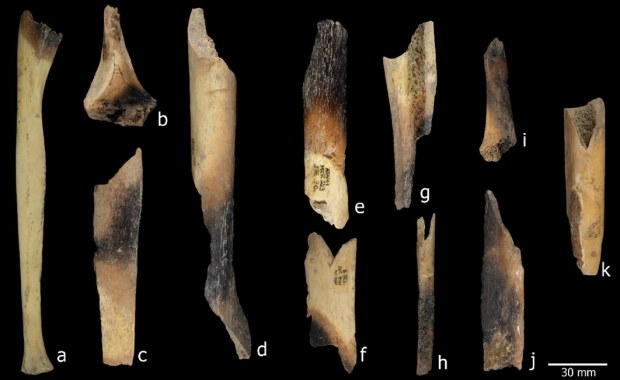 Kanibale z neolitu. Sensacyjne odkrycia z jaskini El Mirador w Hiszpanii