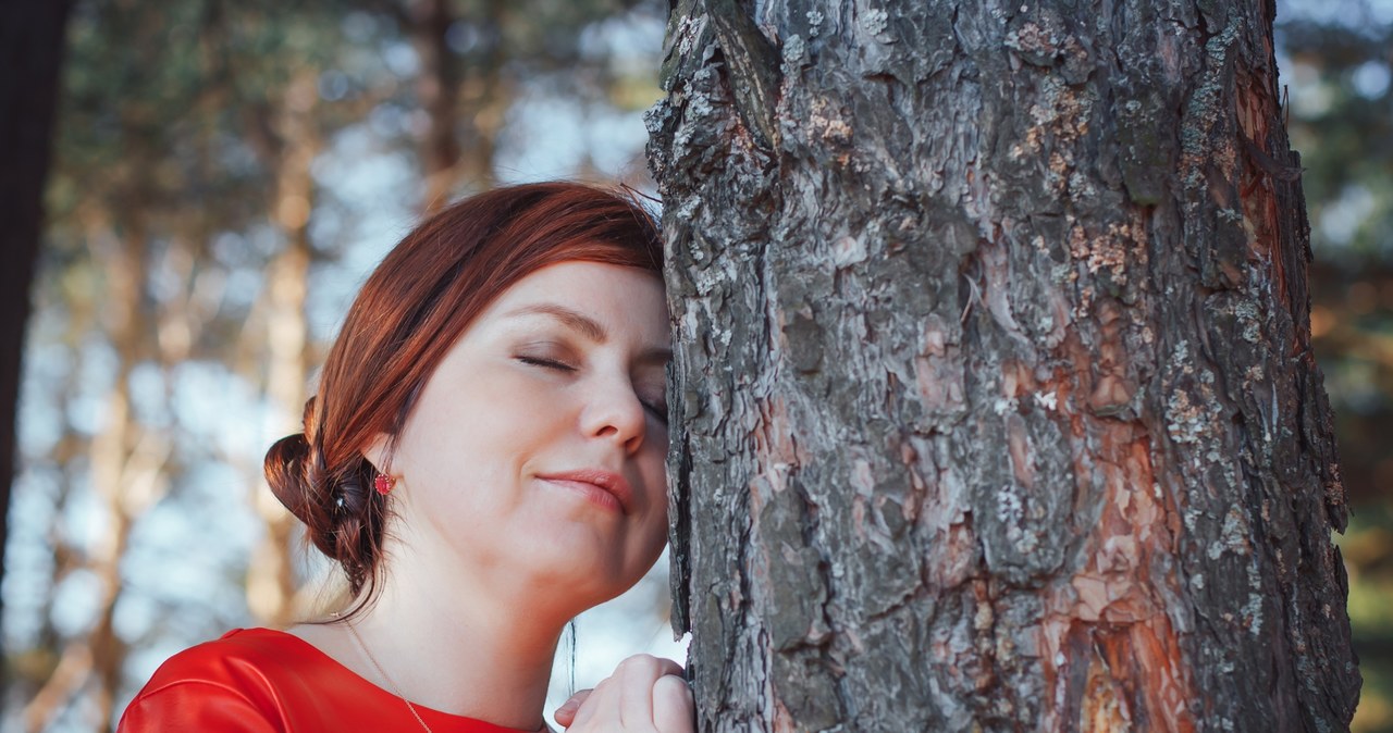 Kąpiele leśne mają na celu głęboki relaks, redukcję stresu oraz odbudowę psychicznej i fizycznej równowagi /123RF/PICSEL