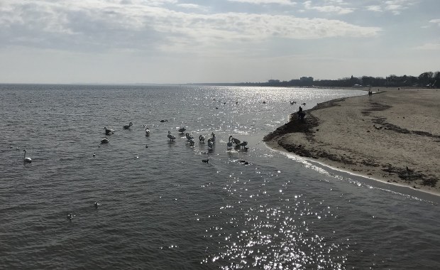 Kąpieliska w Trójmieście będą bezpieczne? Sanepid: Proszę nam pozwolić weryfikować