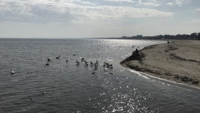 Kąpieliska w Trójmieście będą bezpieczne? Sanepid: Proszę nam pozwolić weryfikować