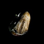 Kapsuła Dragon "Grace" wpadła do oceanu. ESA pokazała nagranie z lądowania